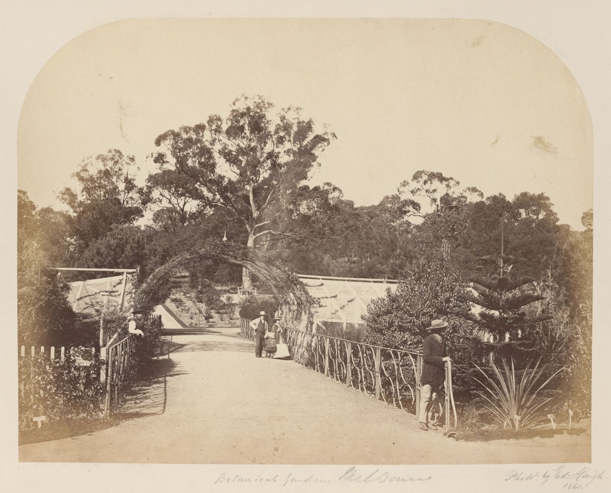 Botanical gardens Melbourne, Melbourne City (c. 1861)