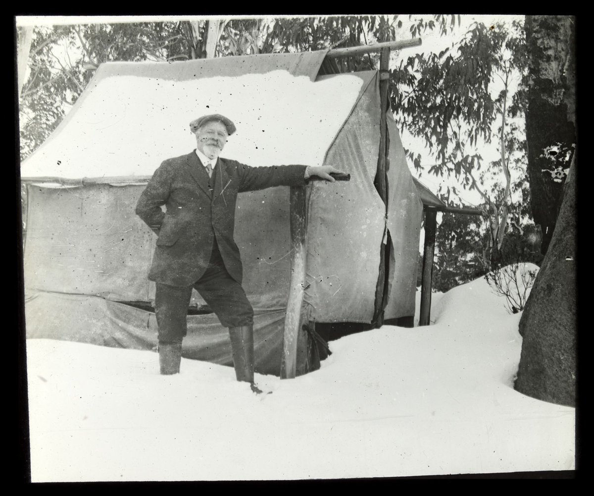 "Possibly Professor Altman, Melbourne University", Parkville (1890–1930)