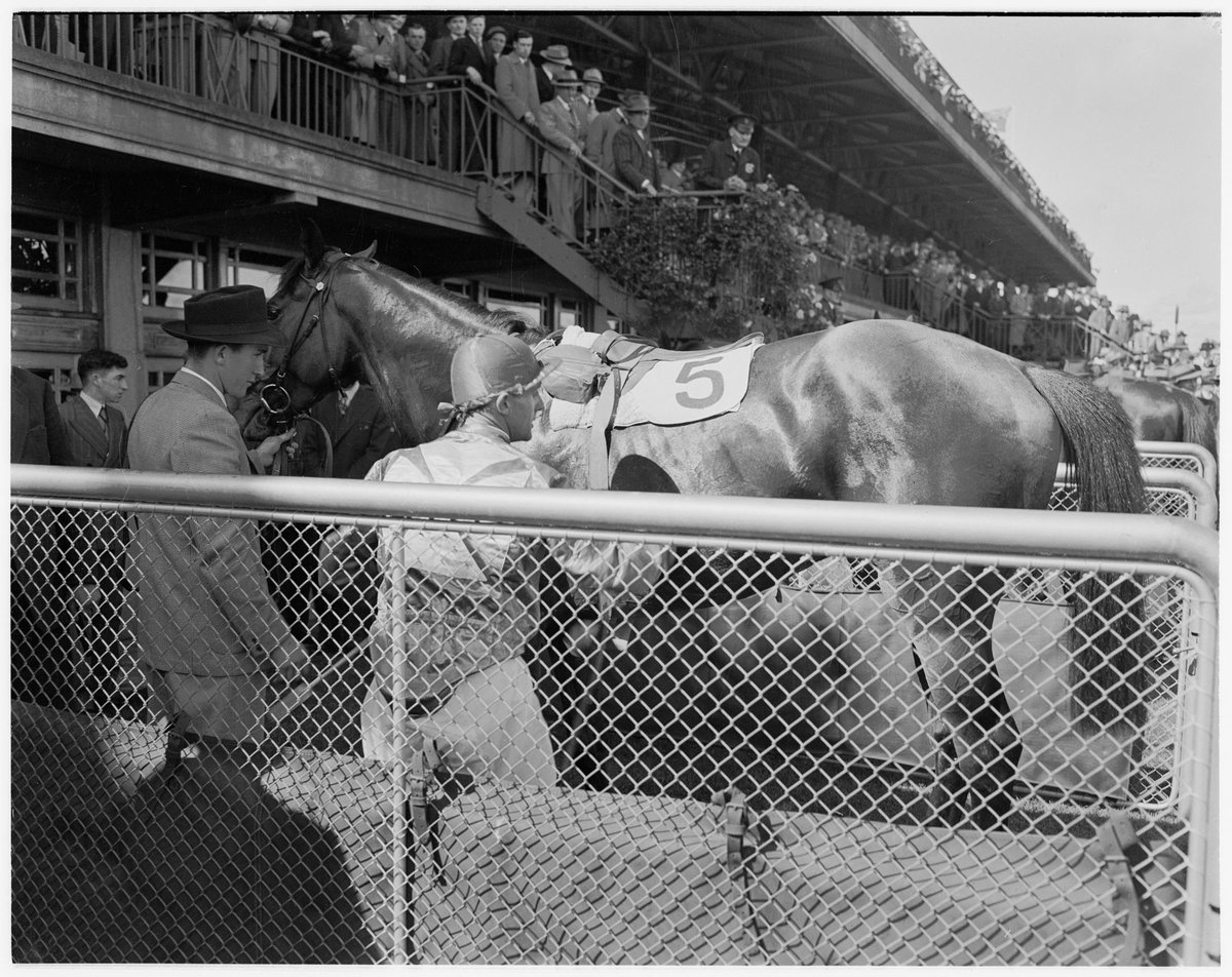 Racehorse No.5 with jockey on Melbourne Cup Day at Flemington Racecourse (1949)