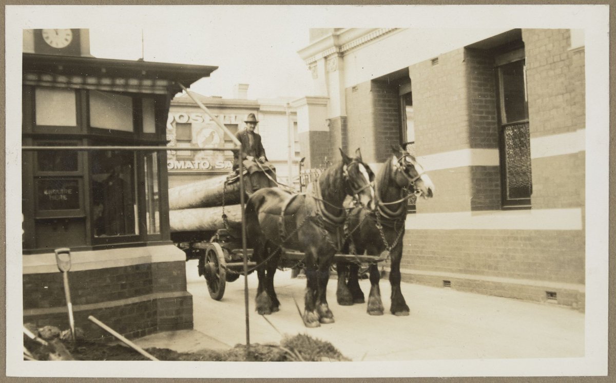 Two horses pulling wagon load of logs into Bryant & May Richmond picture (1928)