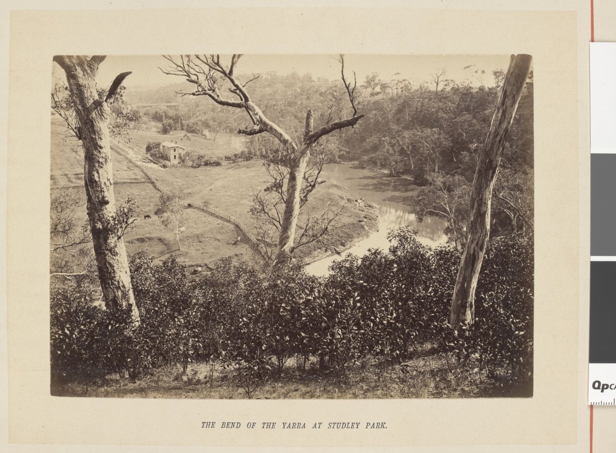 The bend of the Yarra at Studley Park, Kew (1877)