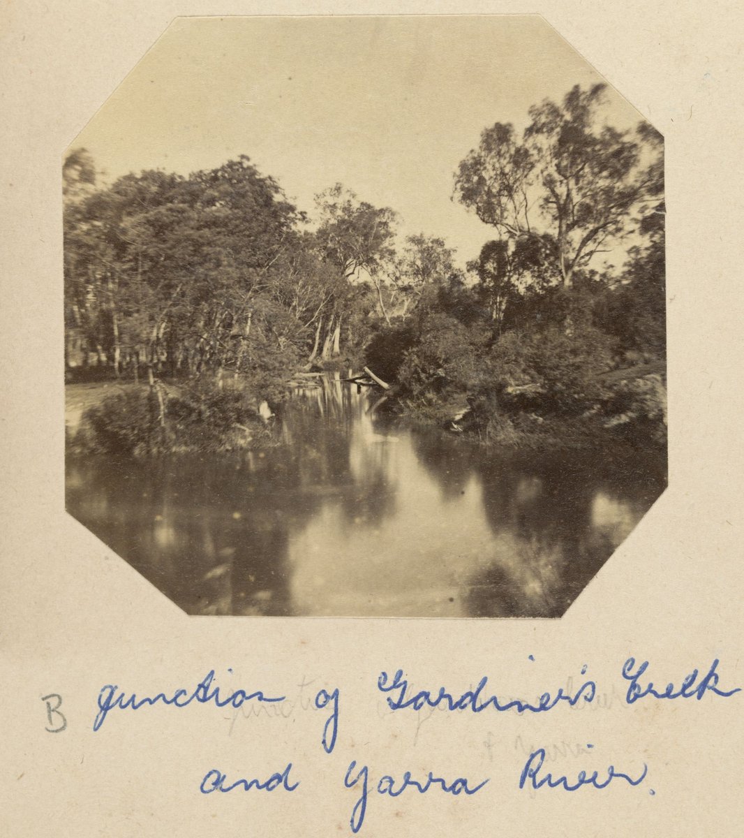Junction of Gardiner's Creek and Yarra River (1873–82)