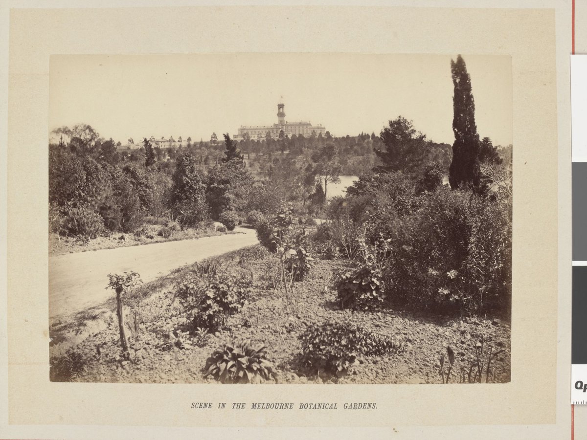 Scene in the Melbourne botanical gardens, Melbourne City (1877)