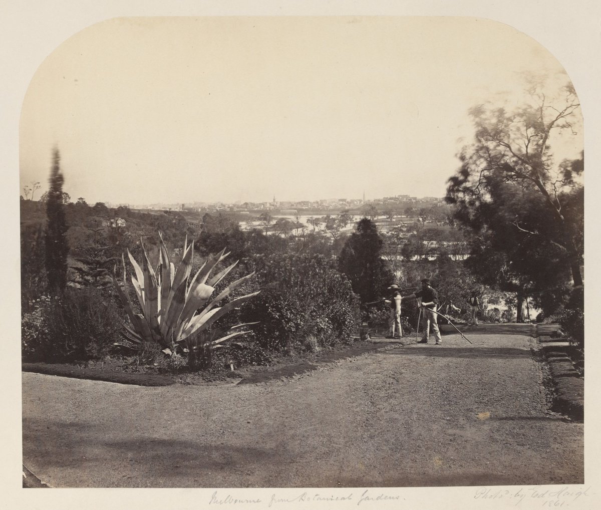 Melbourne from Botanical Gardens, Melbourne City (c. 1861)