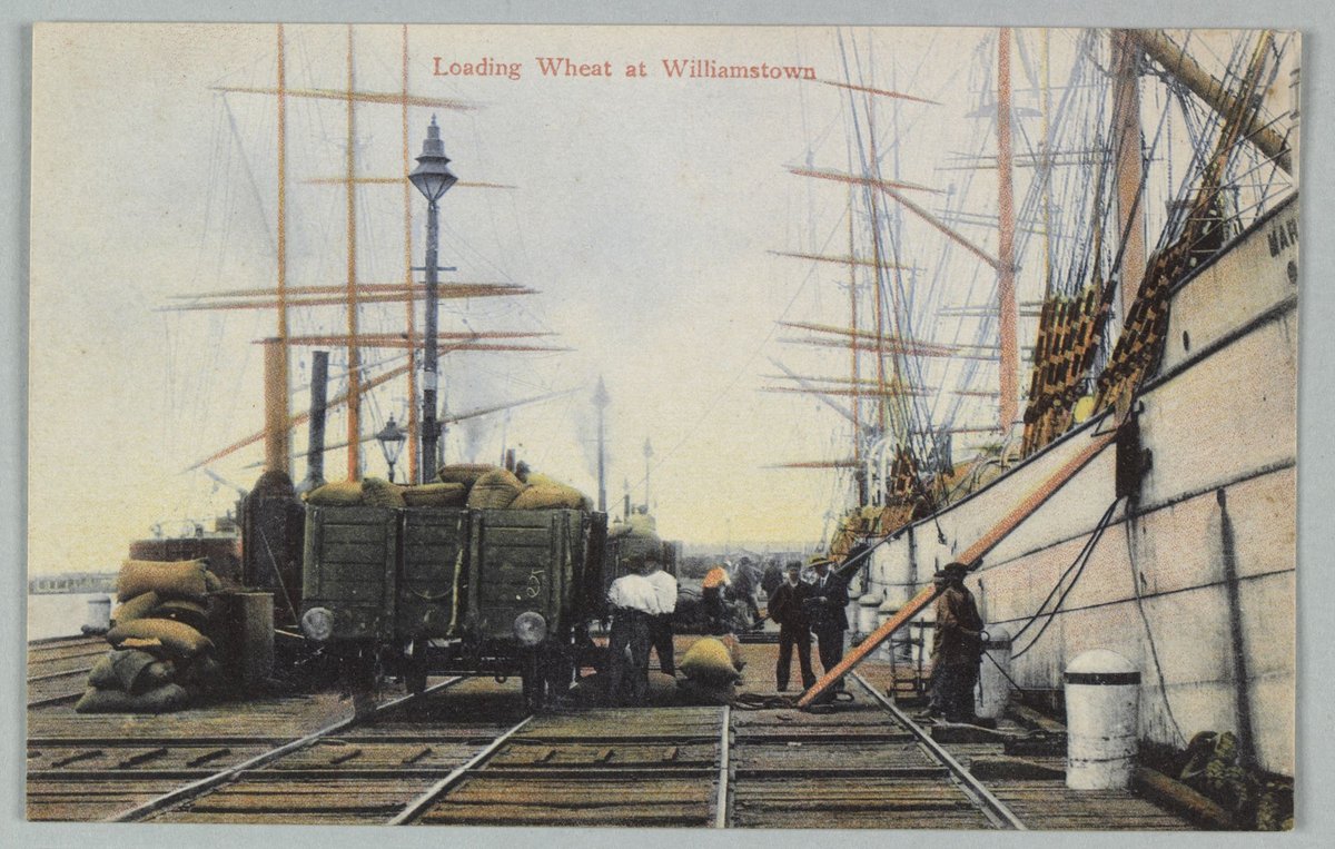 Loading Wheat at Williamstown (1900s)