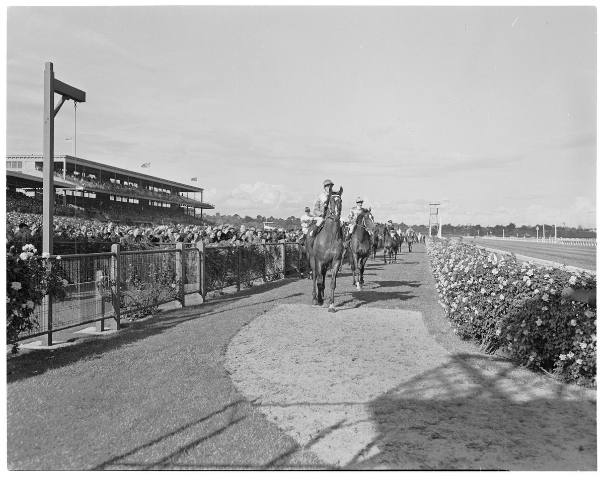 Racehorses parading on racetrack at Flemington Racecourse, Melbourne Cup Day (1949)