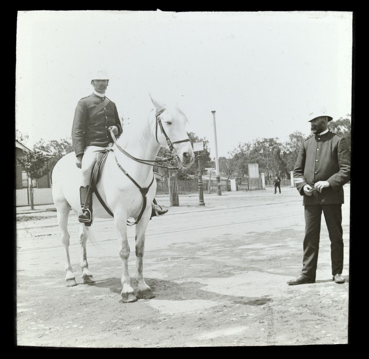 Trooper on a white horse before Great White Fleet parade, Melbourne, 1908