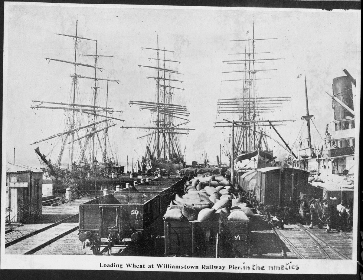 Loading wheat at Williamstown Railway Pier. : in the nineties, Port Melbourne (1890s)