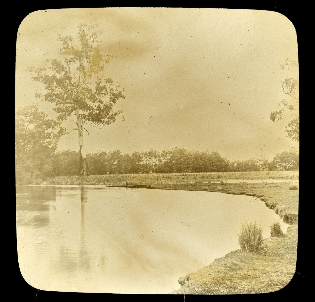 Riverbank, Yarra River, Victoria (1909)
