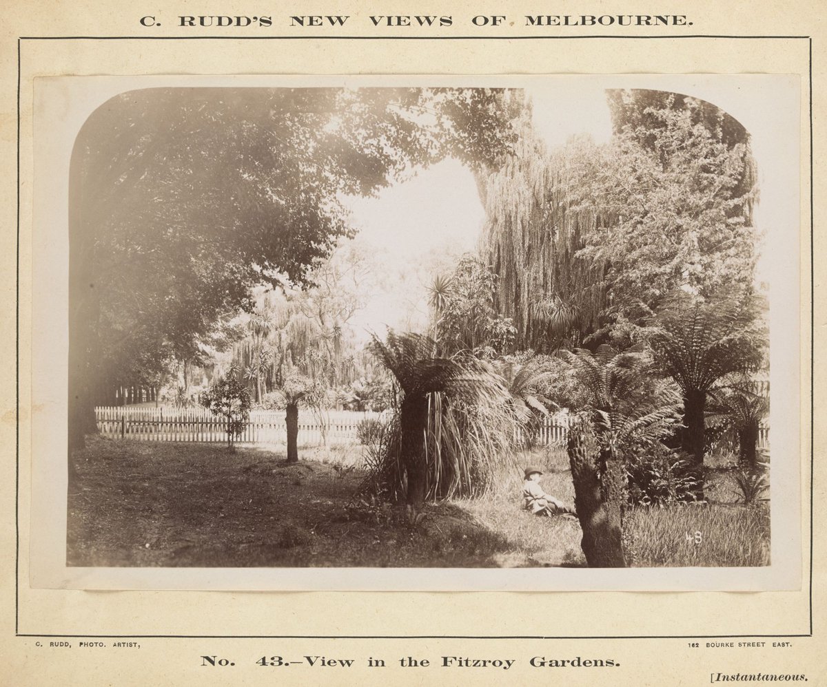 View in the Fitzroy Gardens, East Melbourne (1892–1900)