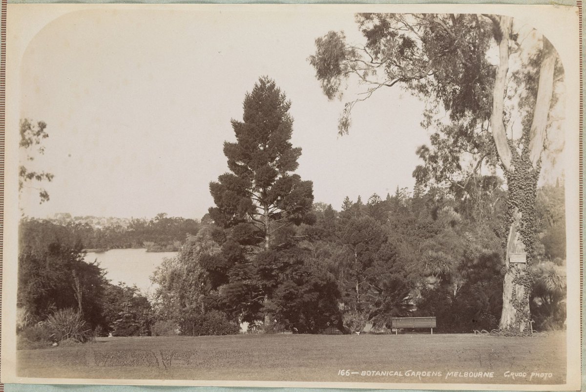 Botanical Gardens, Melbourne, Melbourne City (1892–1900)