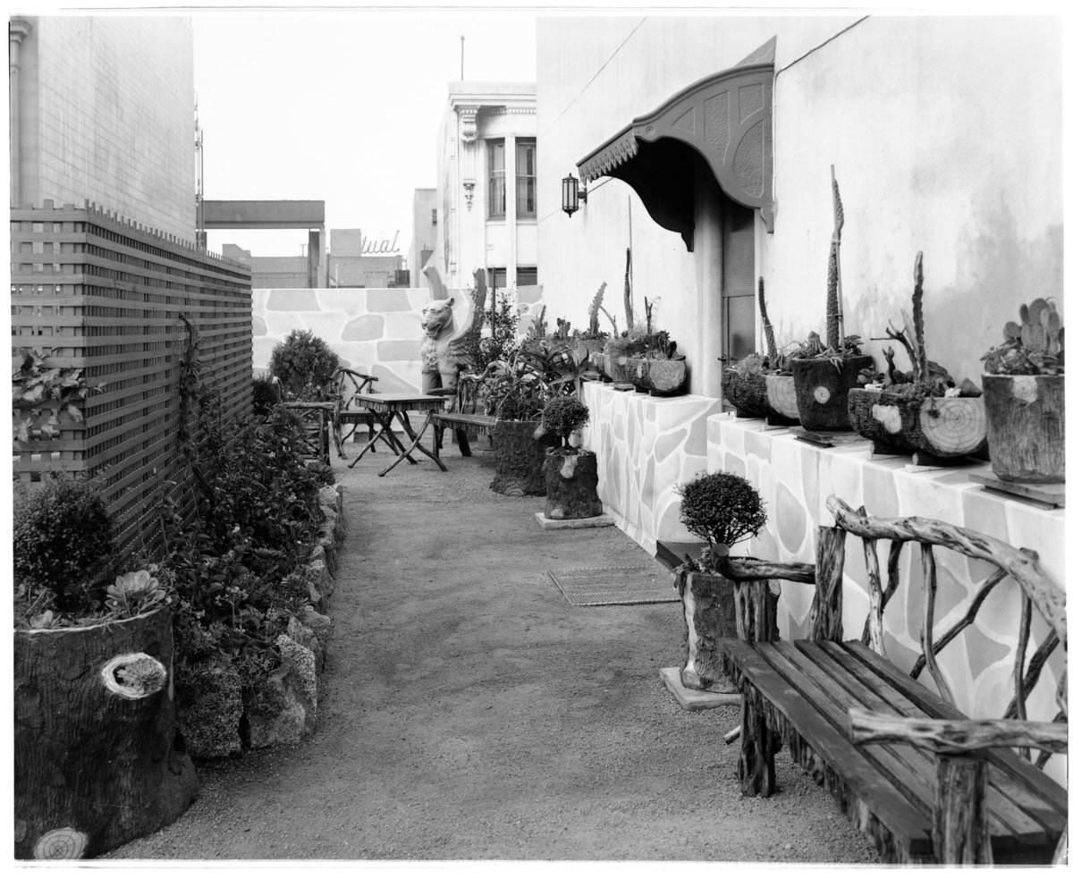 Rooftop garden, Collins Street, Melbourne, Melbourne City (c. 1941)
