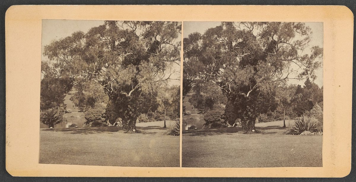 Botanic gardens, Melbourne, Melbourne City (1855–1910)