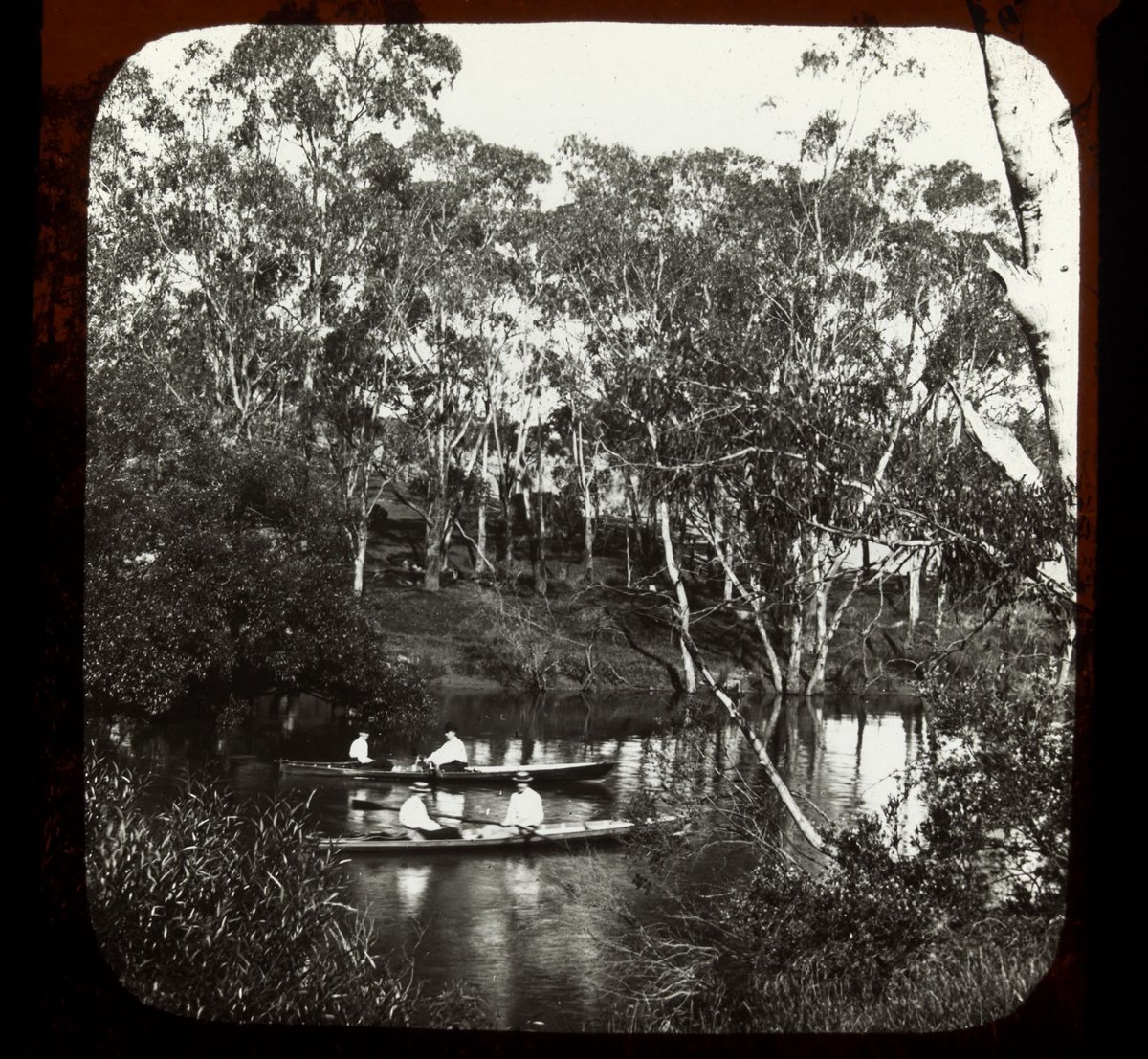 Two rowing boats on the Yarra River, Melbourne (1909)