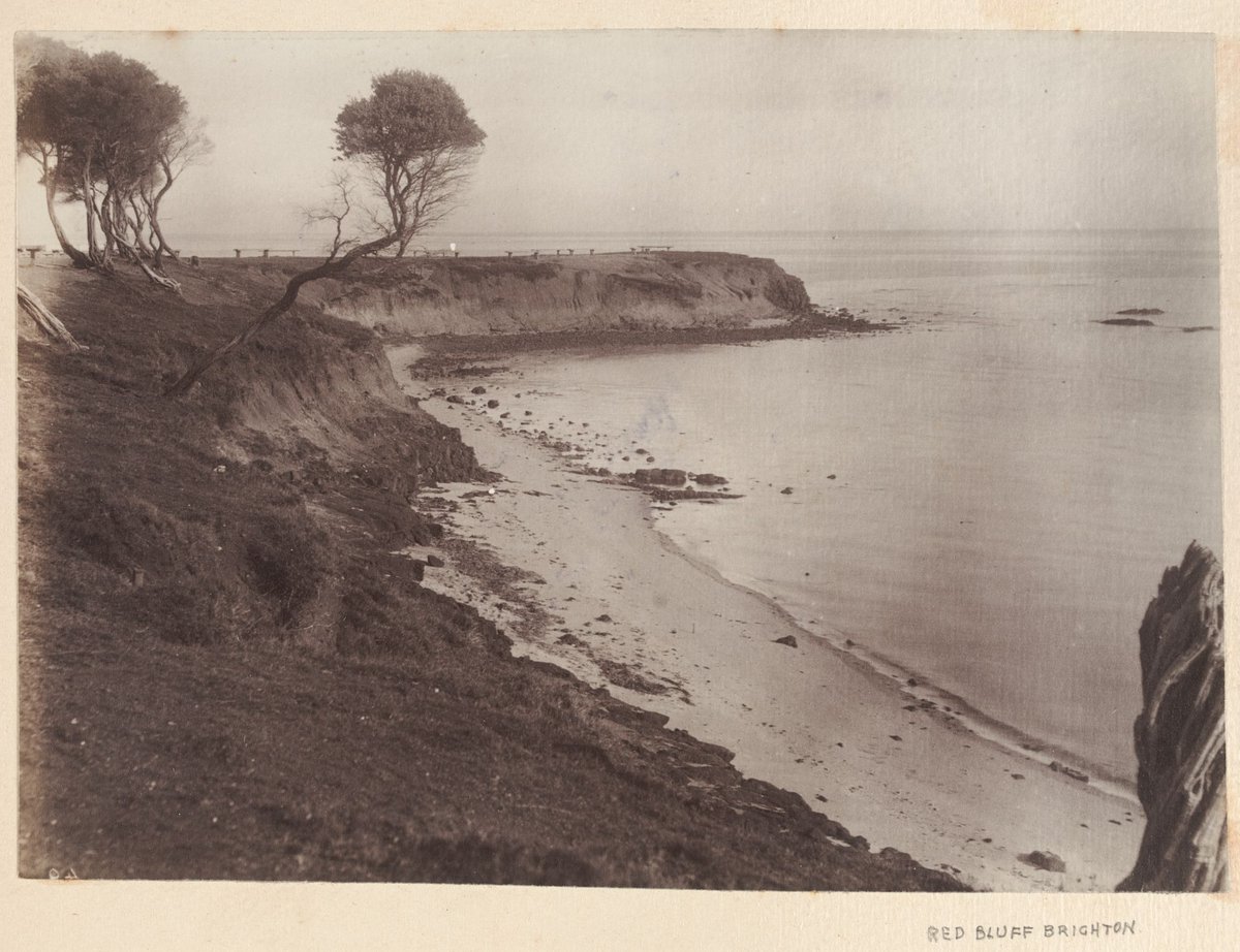 Red Bluff Brighton (1880–1900)