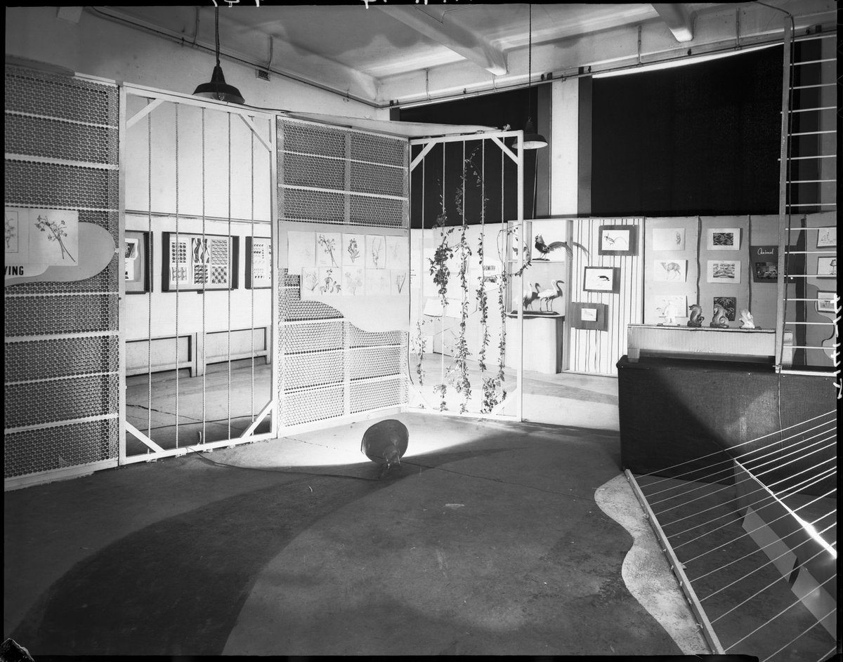 Part of a display of student art-work and statues, Melbourne Technical College (R.M.I.T.) (1947)