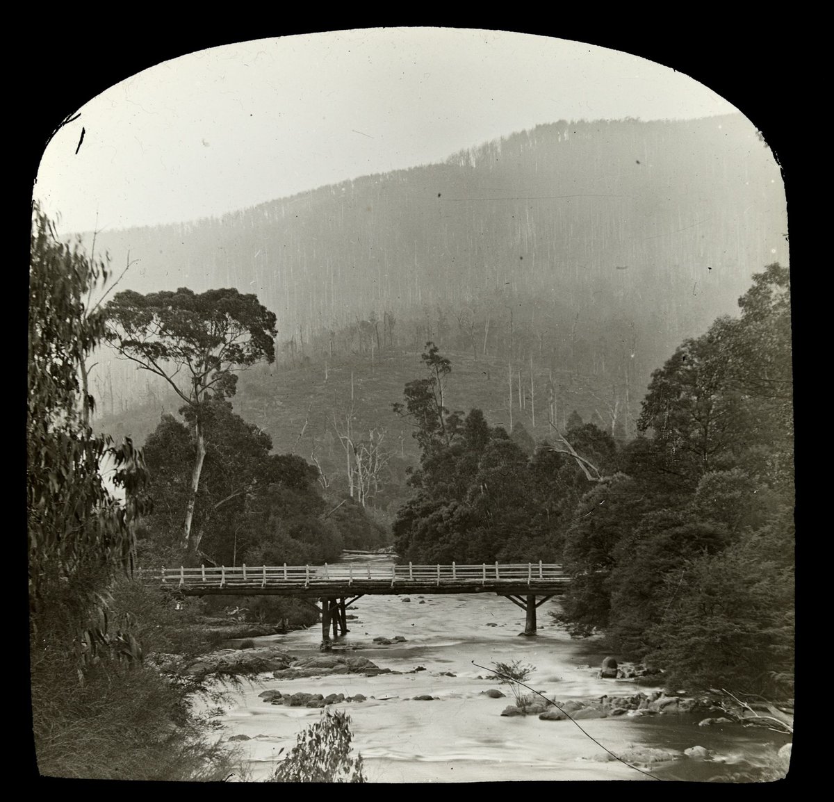 Wooden bridge on the Yarra River, in country Victoria (1909)