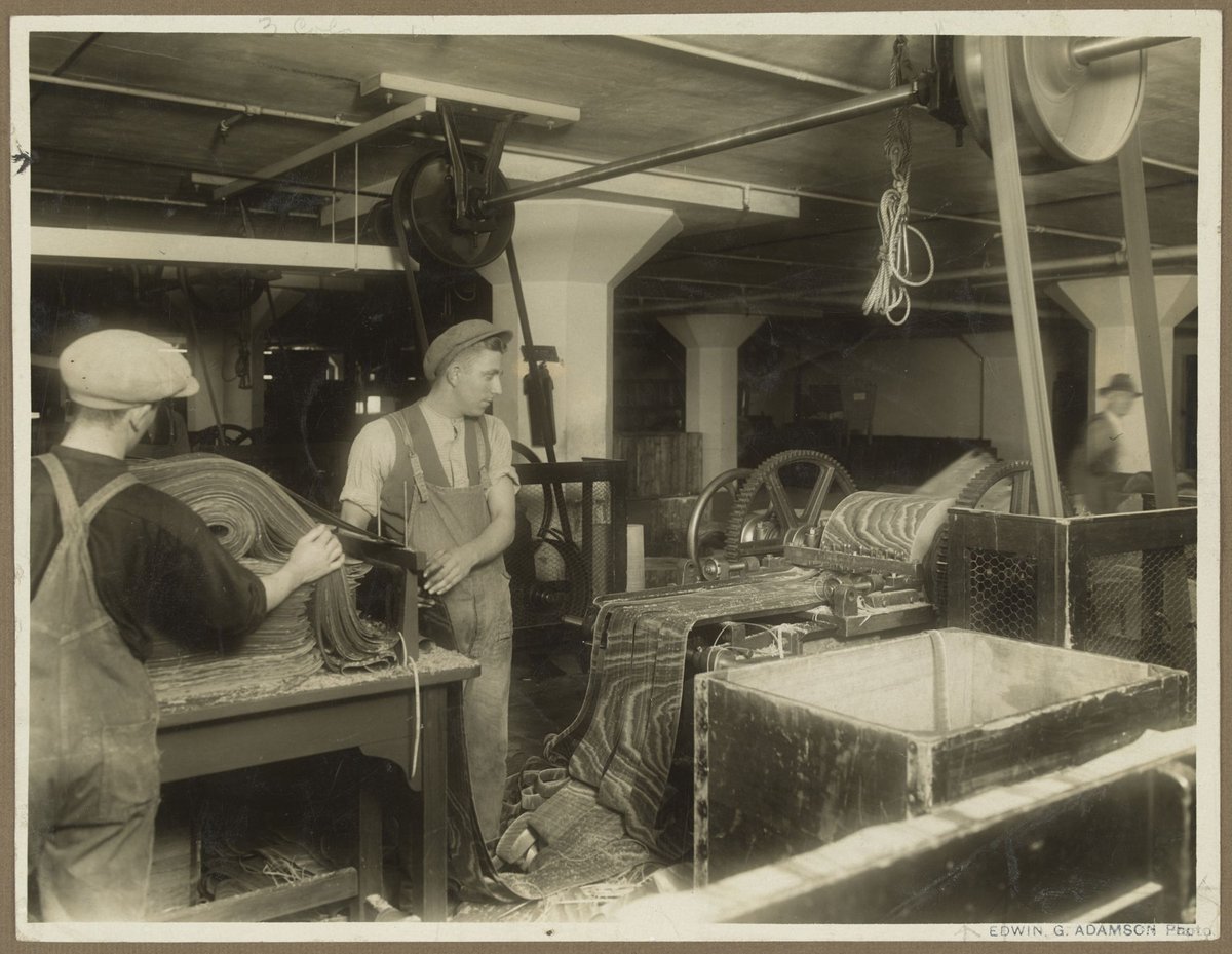 Splint Cutting from Hoop Pine Richmond (1910–30)