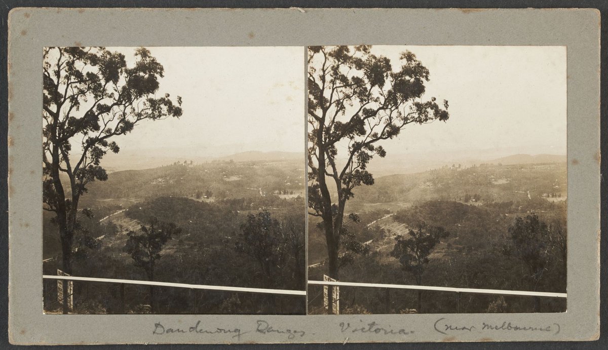 Dandenong Ranges, Victoria. (near Melbourne) (1925)