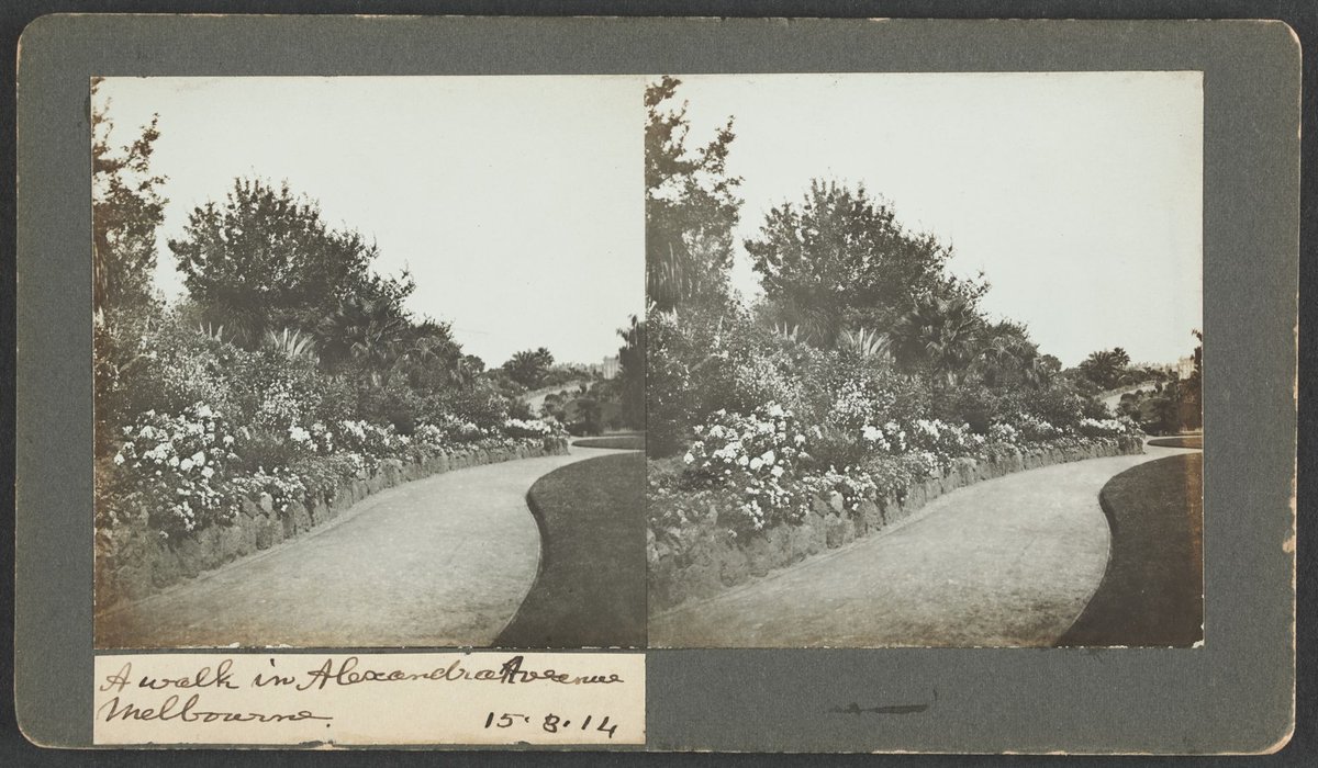 A walk in Alexandria Avenue, Melbourne (1914)