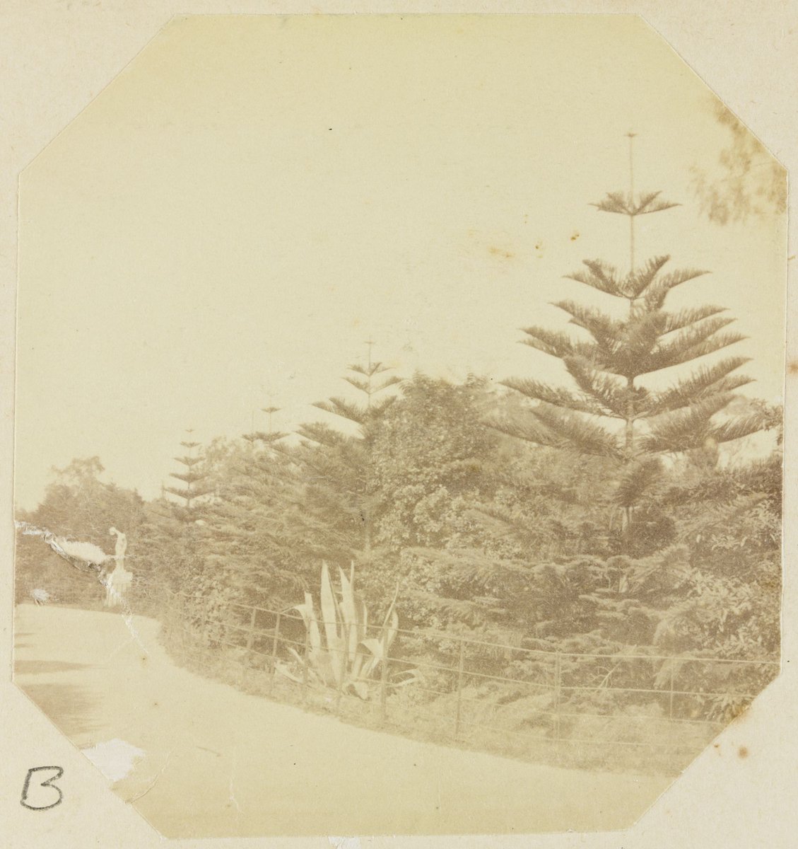 Fitzroy Gardens. Melbourne, East Melbourne (1873–82)