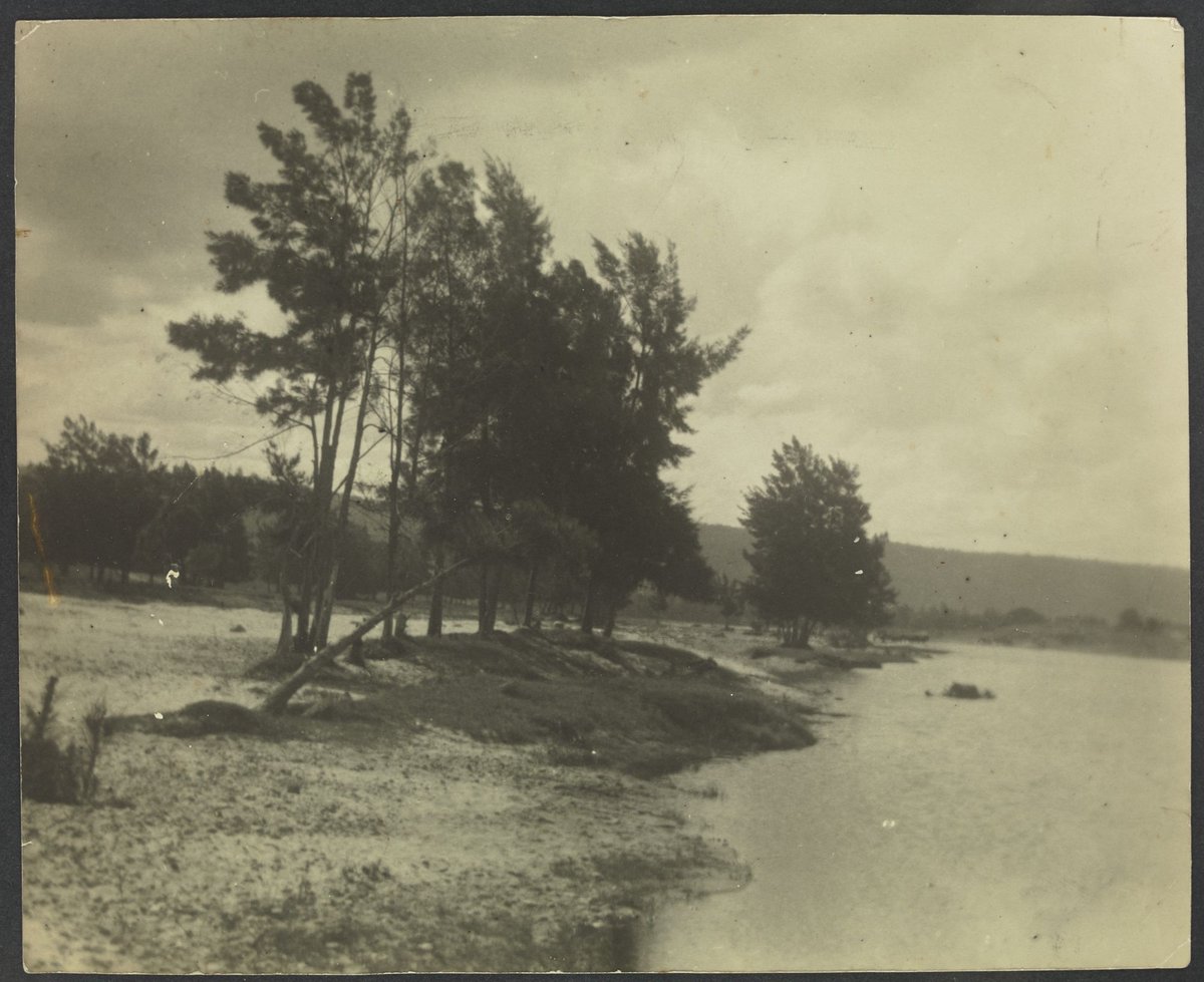 Countryside outside Melbourne (c. 1920)