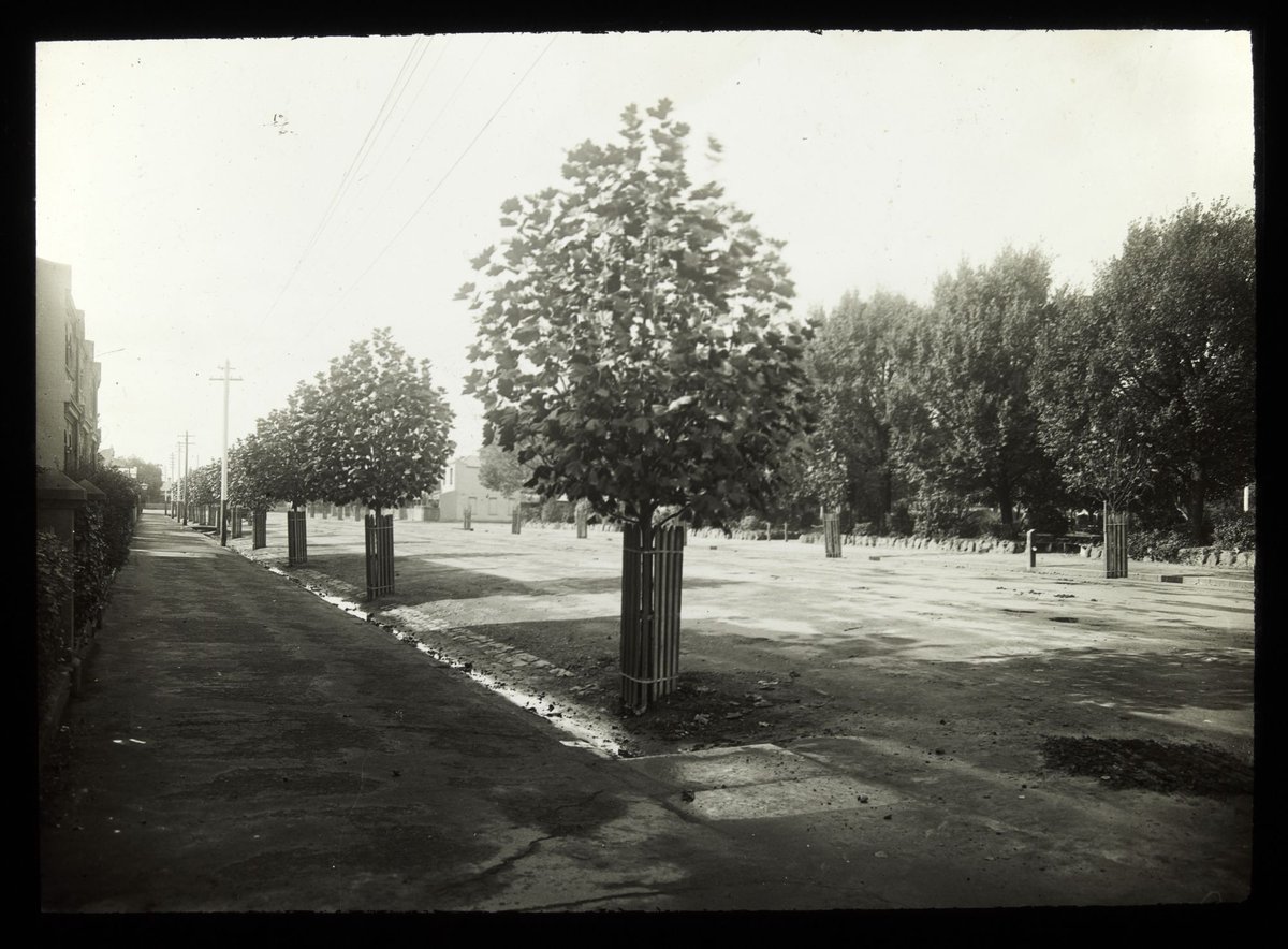 Grey Street, East Melbourne (c. 1910)