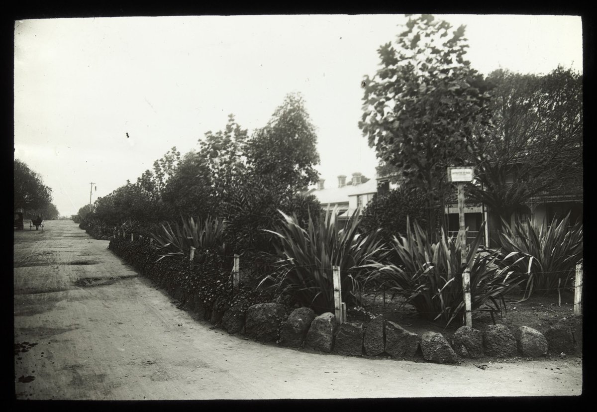 Peel Street, North Melbourne street reserve (c. 1910)