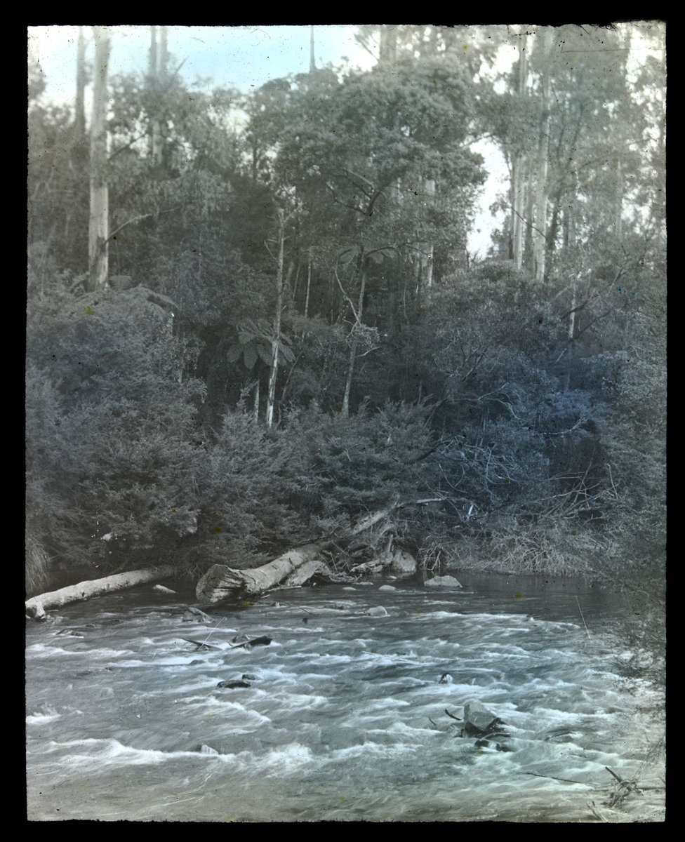Rapids, Yarra River (1920–35)