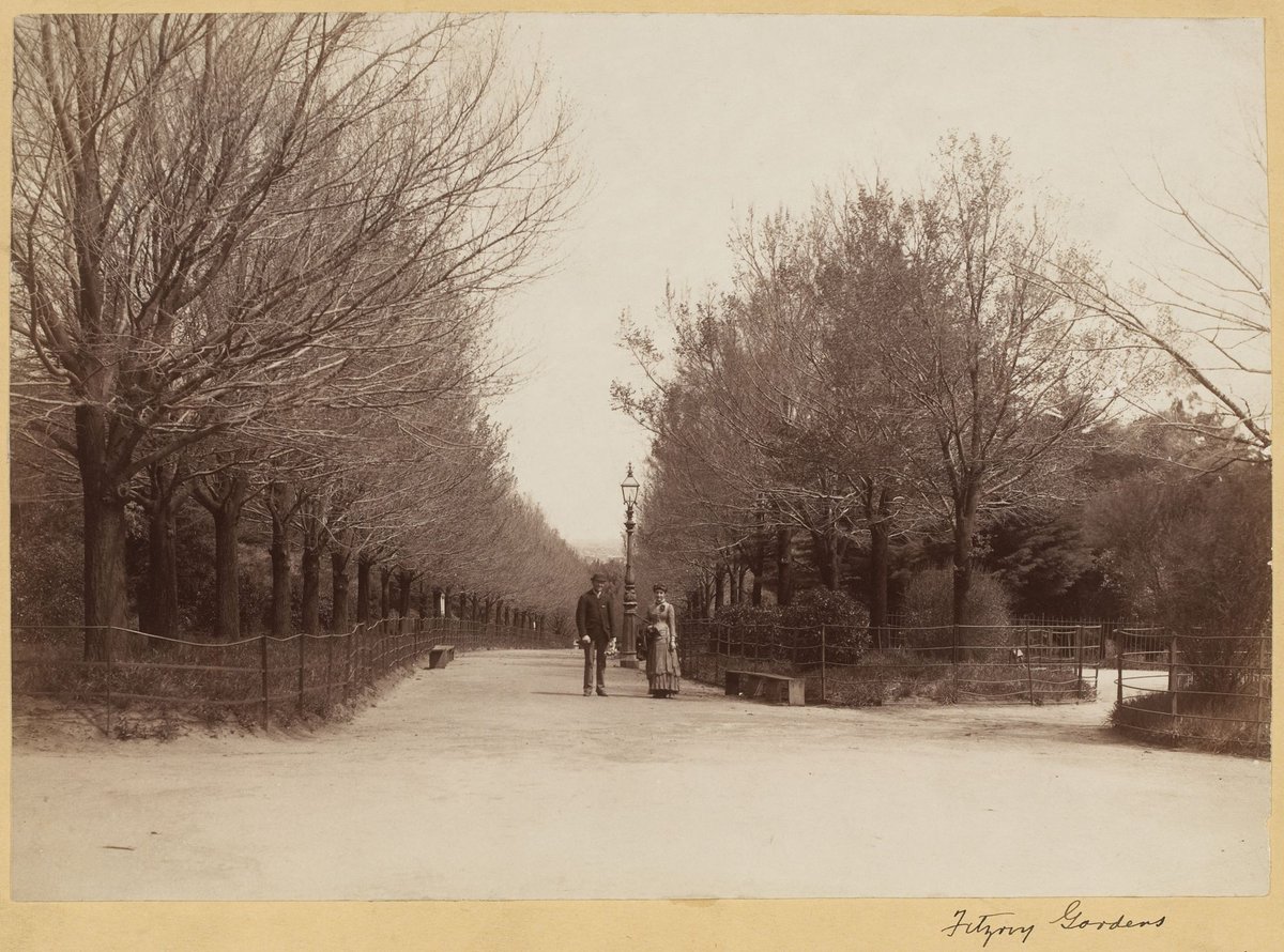 Avenue in the Fitzroy Gardens, Melbourne, East Melbourne (1870–90)