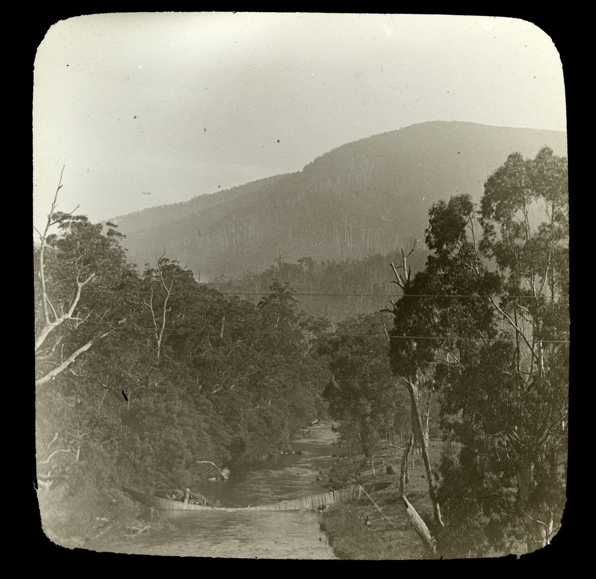 Collapsed footbridge, Yarra River in country Victoria (1909)