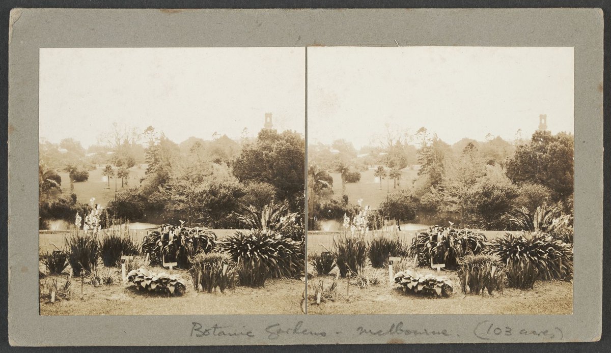 Royal Botanic Gardens, Melbourne, Melbourne City (c. 1925)