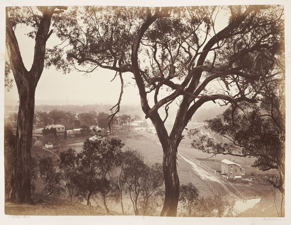 View in Studley Park, Kew (1870–80)