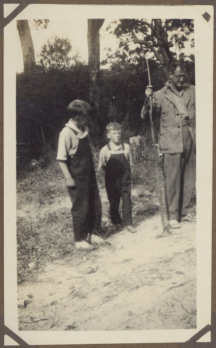 Characteristic of thousands of acres between Orbost and Melbourne (Victoria) (1927)