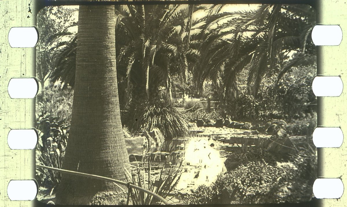 Views of Botanic Gardens at Williamstown Victoria, Melbourne City (1930–34)