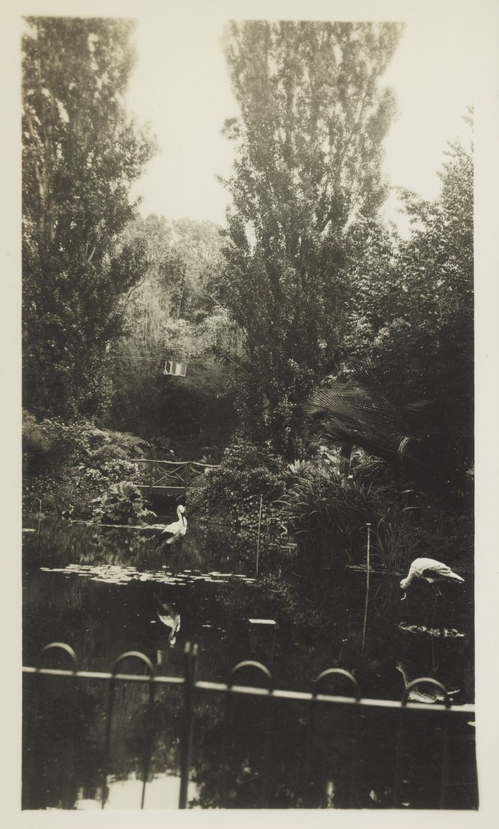 Fitzroy Gardens, Melbourne, East Melbourne (1930s)