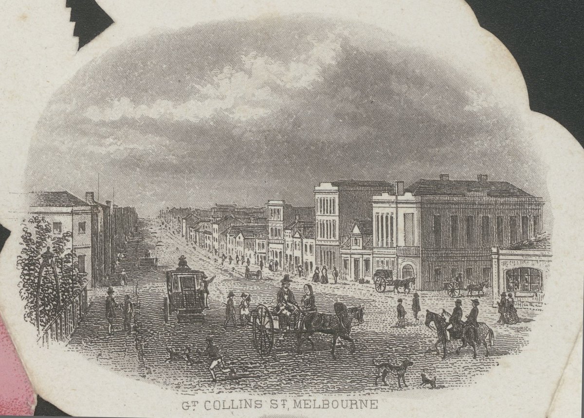The Melbourne Rose (c. 1863)