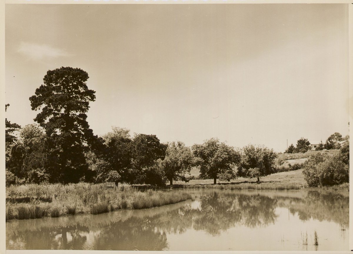 Keilor, near Maribyrnong River, Vict (1950?)