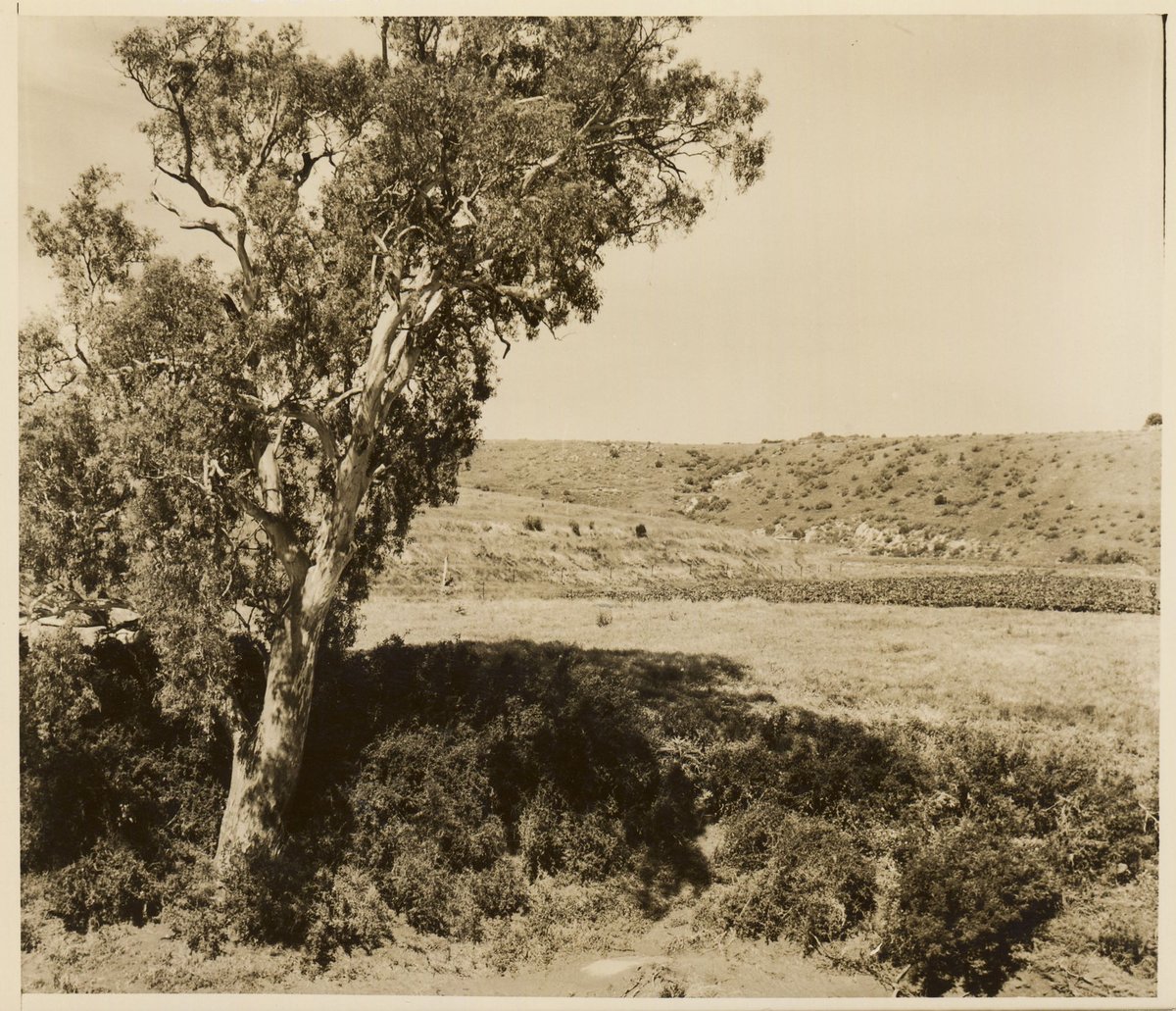 "Keilor, near Maribyrnong River, Vict." (1950?)