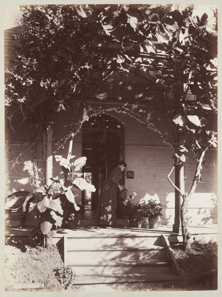 Woman watering pot plants on verandah at Ethelred, Hawthorn (1884–94)