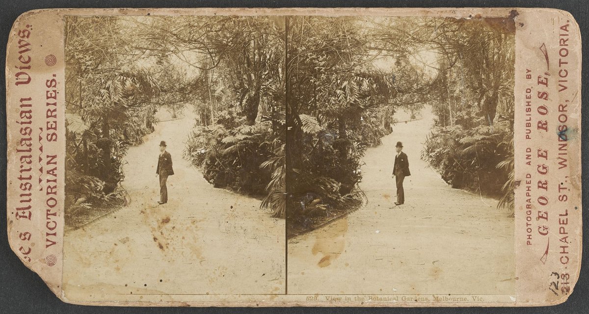 View in the Botanical Gardens, Melbourne, Vic, Melbourne City (1890–1900)