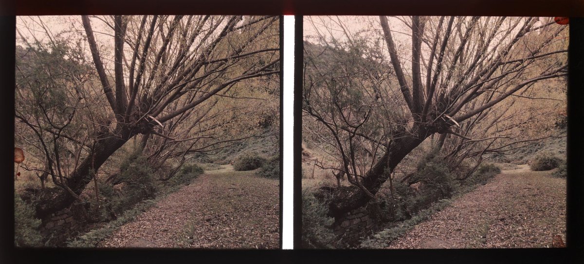 Walhalla: road by Windsor House (1948)