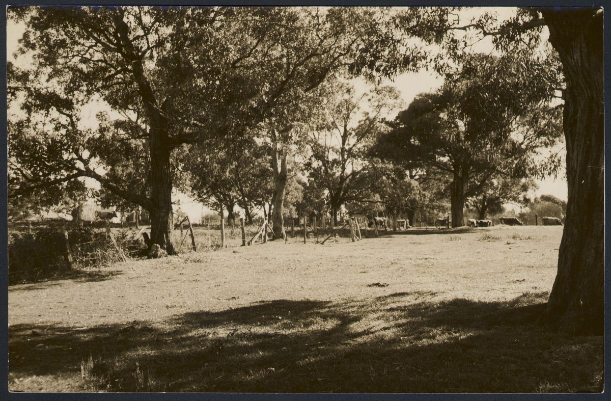 Ringwood, Melbourne, Vic (1950?)