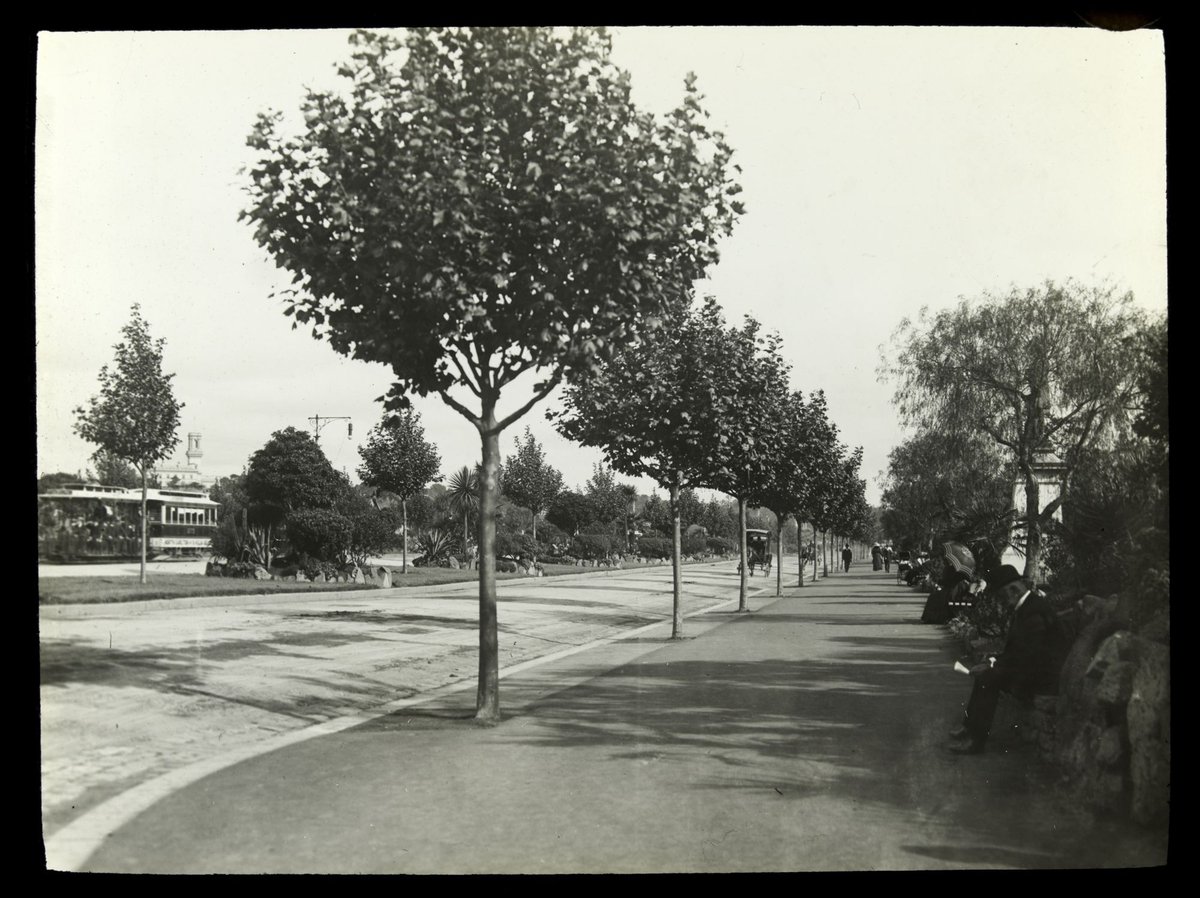 St. Kilda Road, looking South, Melbourne City (c. 1910)