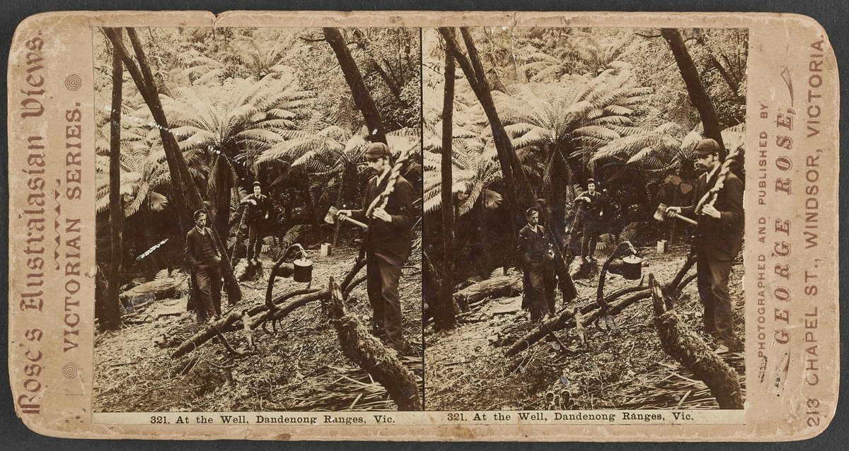 At the Well, Dandenong Ranges, Vic (1890–1900)