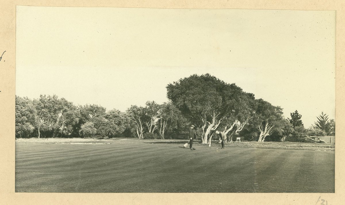 "Mixed foursome once a month on Thursdays, Royal Melbourne Golf Club, Sandringham, Vic." (1909)