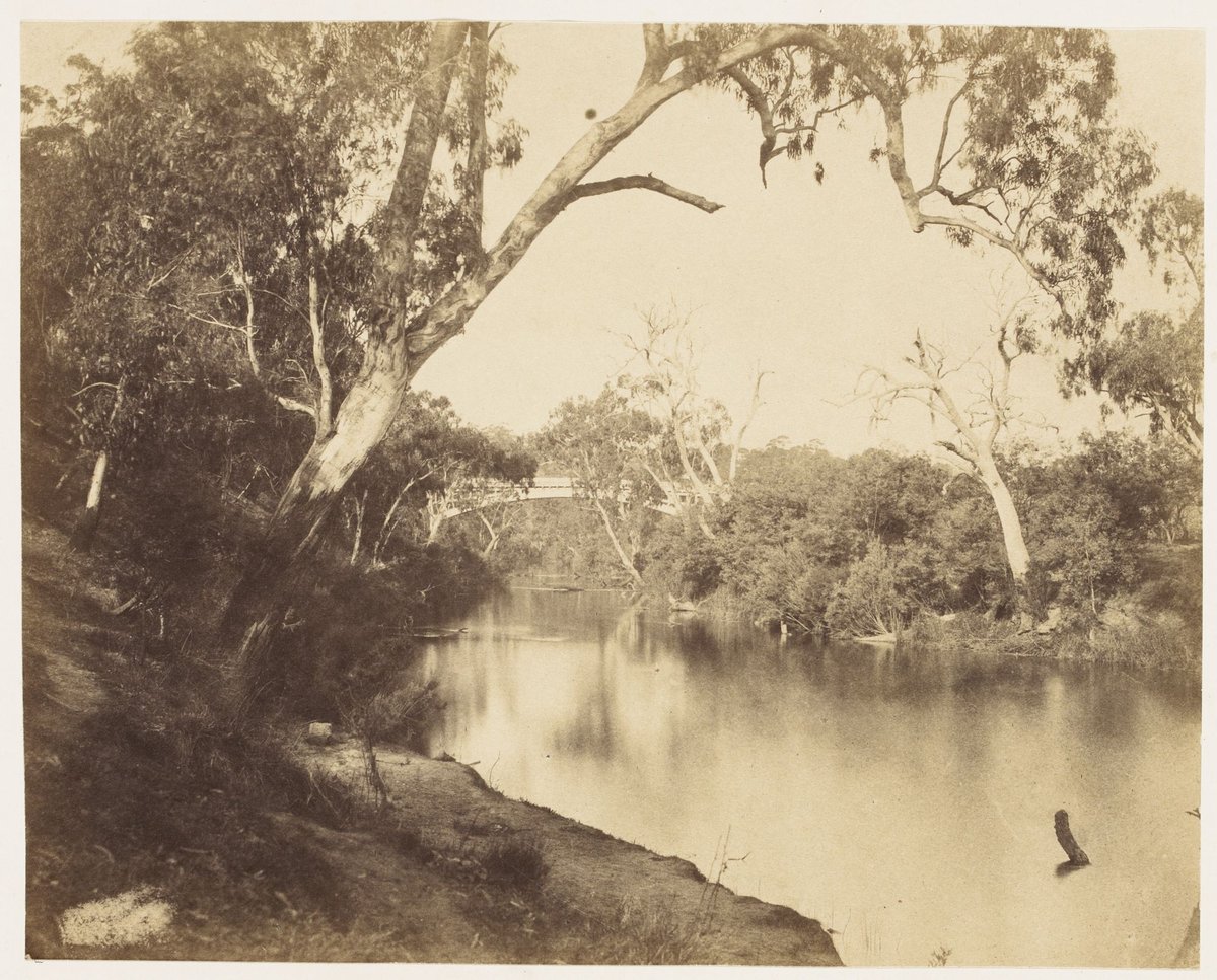 The Yarra near Studley Park, Kew (c. 1858)