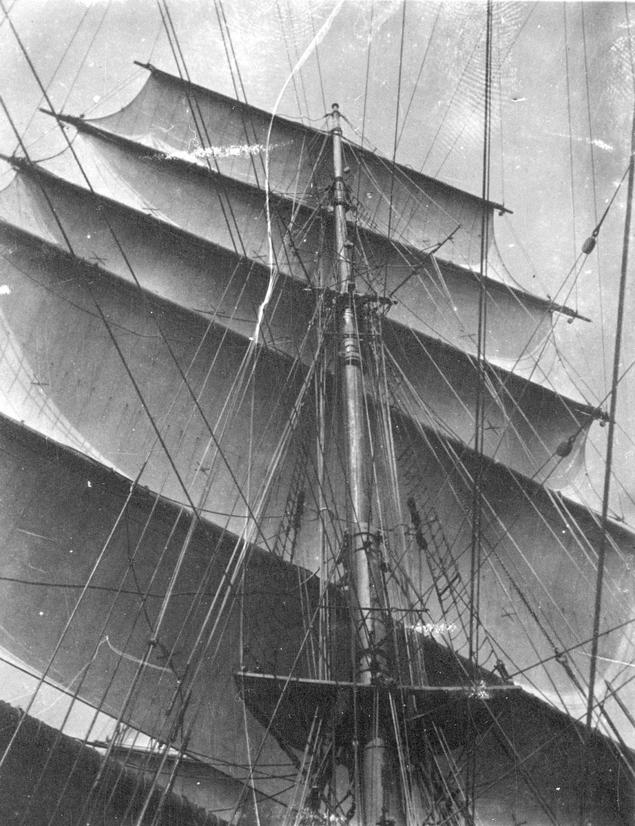 A SNAPSHOT. LOOKING UP THE MAIN MAST OF THE WINDSOR PARK (1885–1946)