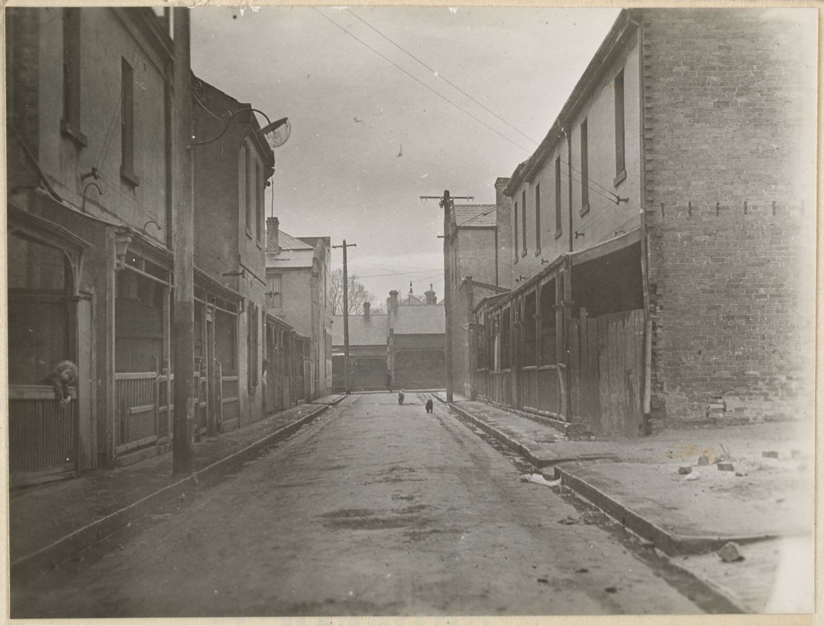 Carlton. David Street (c. 1935)