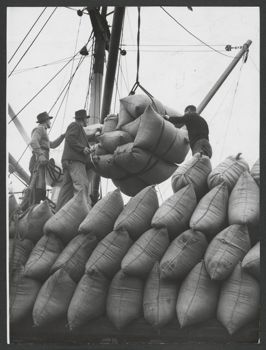 Fodder consignment being unloaded at Victoria Dock, Melbourne (1942–48)
